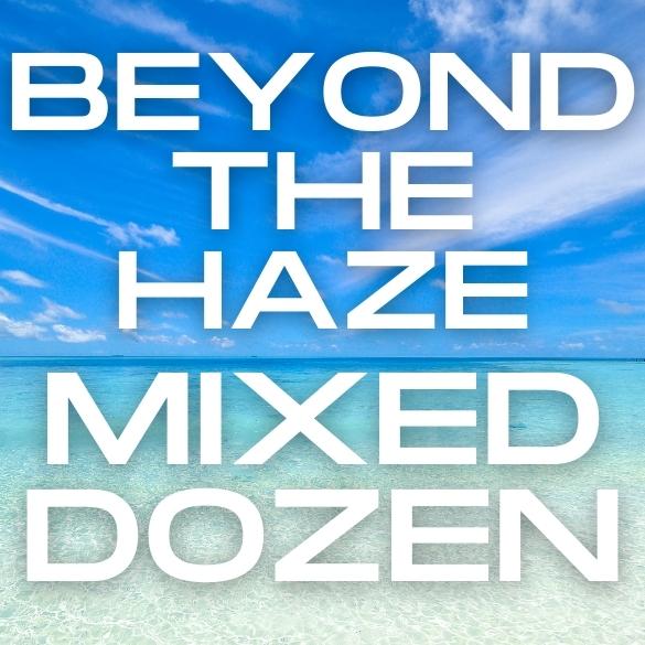 Various Beyond the Haze Craze Mixed Dozen Multipack - The Beer Library