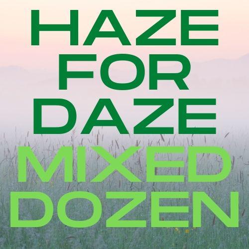 Various Haze for Daze Mixed Dozen Hazy IPA - The Beer Library