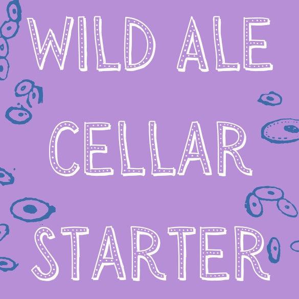 Boon Wild Ale Cellar Starter Pack Sour/Funk - The Beer Library